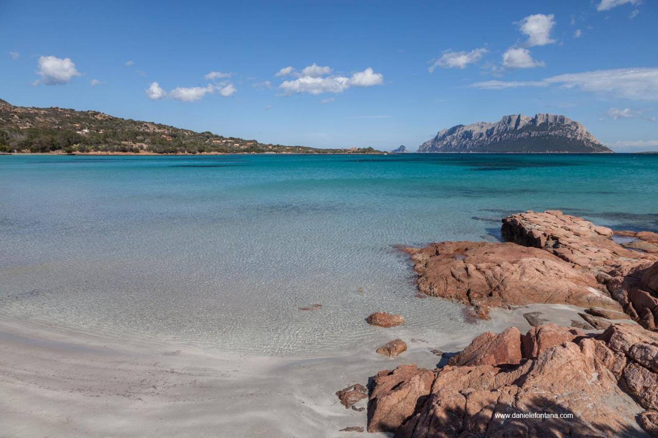 Aria Di Vacanza - Gelsi Olbia Exterior foto
