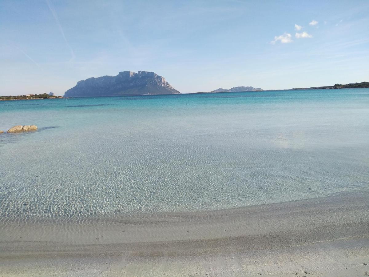 Aria Di Vacanza - Gelsi Olbia Exterior foto