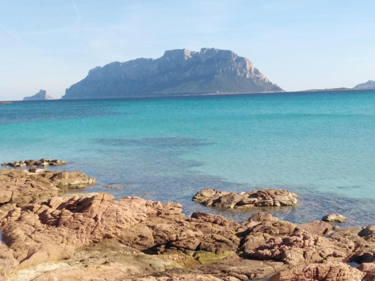 Aria Di Vacanza - Gelsi Olbia Exterior foto